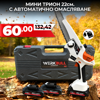 Акумулаторна Безчеткова резачка с омасляване WerkBull с две батерии + подарък верига